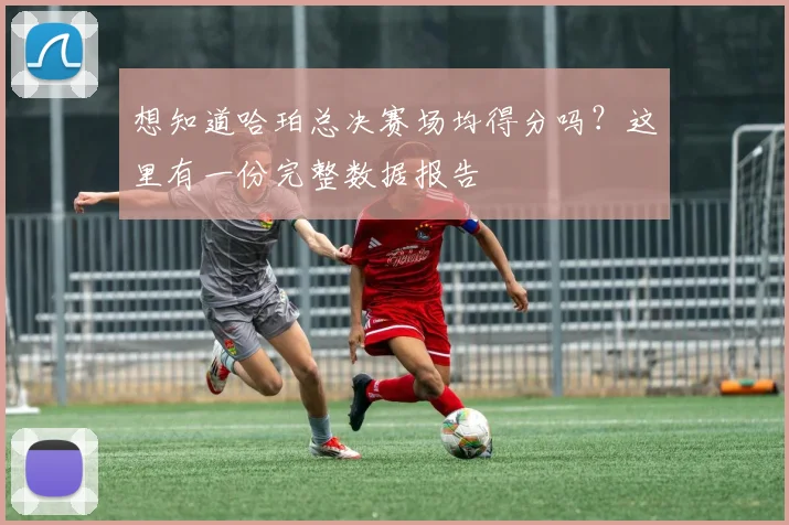 想知道哈珀总决赛场均得分吗?这里有一份完整数据报告