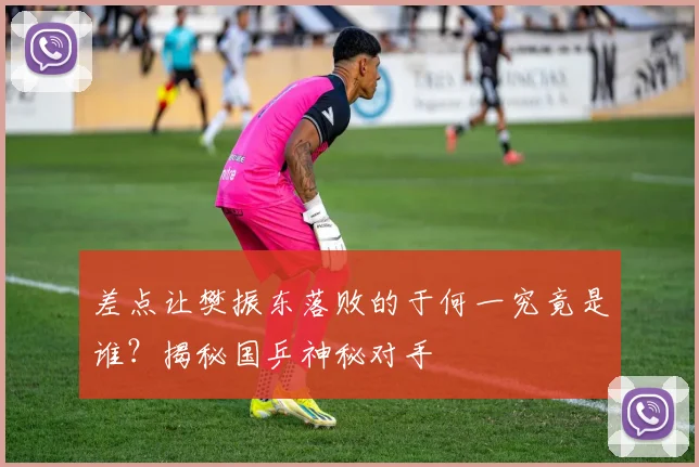 差点让樊振东落败的于何一究竟是谁？揭秘国乒神秘对手